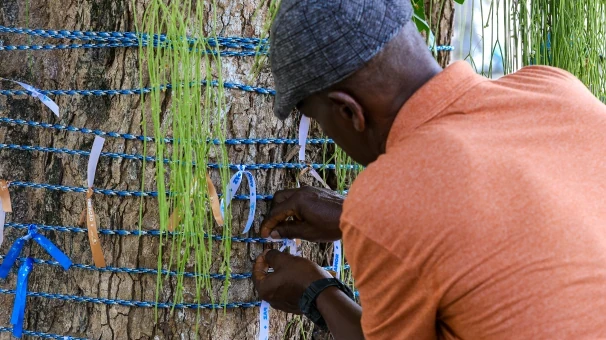 Turma de Psicologia da FSC lidera ações de Dia dos Finados no Campo Santo