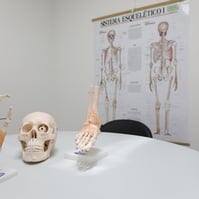 Laboratório de Anatomia